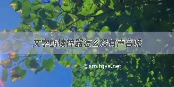 文字朗读神器怎么没有声音呢