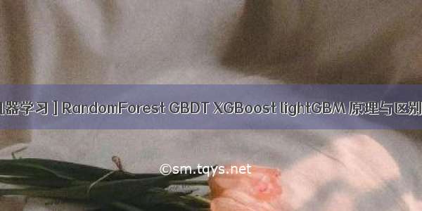 [机器学习 ] RandomForest GBDT XGBoost lightGBM 原理与区别