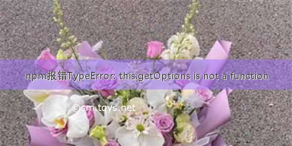 npm报错TypeError: this.getOptions is not a function