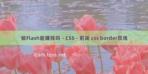 做Flash能赚钱吗 – CSS – 前端 css border双线