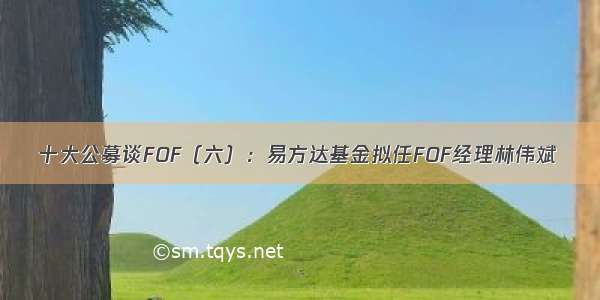 十大公募谈FOF（六）：易方达基金拟任FOF经理林伟斌