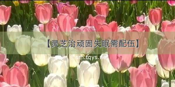 【灵芝治顽固失眠需配伍】