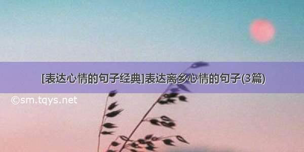 [表达心情的句子经典]表达离乡心情的句子(3篇)