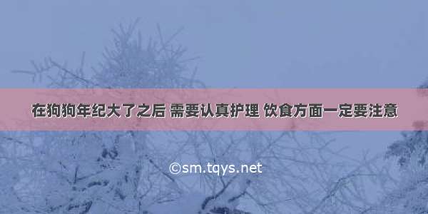 在狗狗年纪大了之后 需要认真护理 饮食方面一定要注意