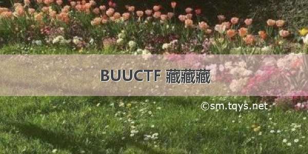 BUUCTF 藏藏藏