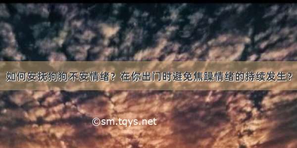 如何安抚狗狗不安情绪？在你出门时避免焦躁情绪的持续发生？