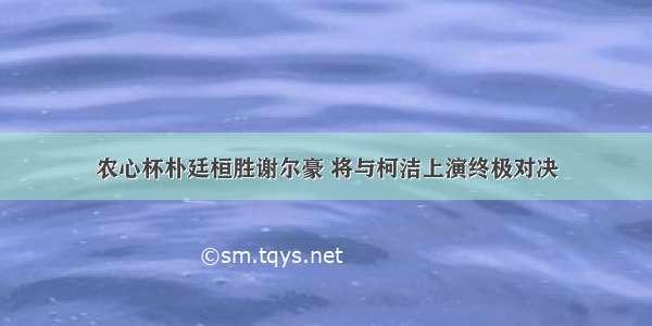 农心杯朴廷桓胜谢尔豪 将与柯洁上演终极对决