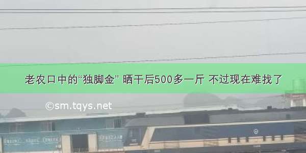 老农口中的“独脚金” 晒干后500多一斤 不过现在难找了