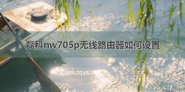 磊科nw705p无线路由器如何设置