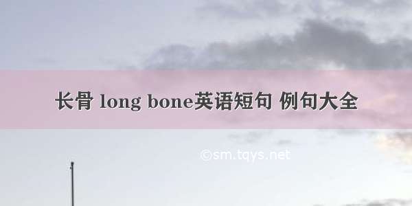 长骨 long bone英语短句 例句大全