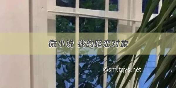 微小说 我的暗恋对象