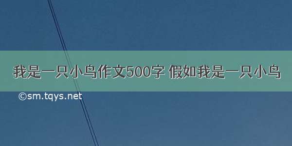 我是一只小鸟作文500字 假如我是一只小鸟