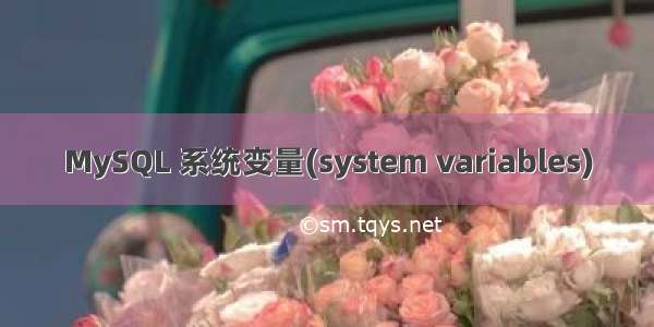 MySQL 系统变量(system variables)