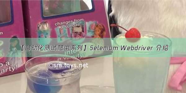 【自动化测试爬虫系列】Selenium Webdriver 介绍