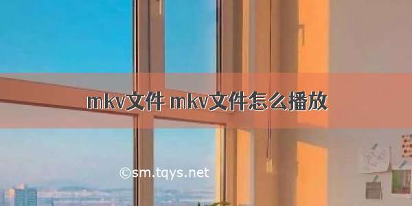 mkv文件 mkv文件怎么播放