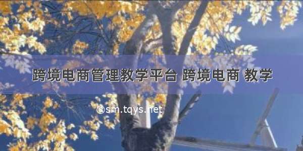 跨境电商管理教学平台 跨境电商 教学