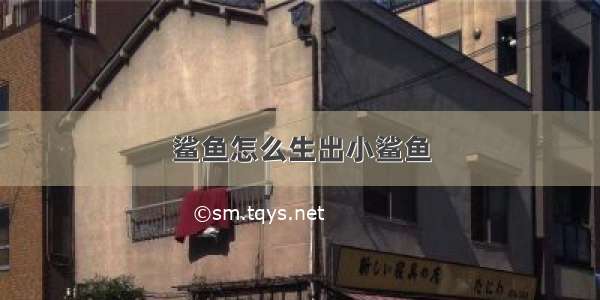 鲨鱼怎么生出小鲨鱼