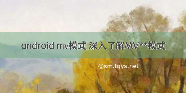 android mv模式 深入了解MV**模式