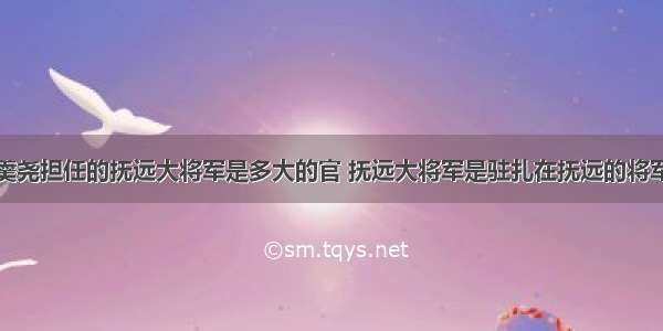 年羹尧担任的抚远大将军是多大的官 抚远大将军是驻扎在抚远的将军吗