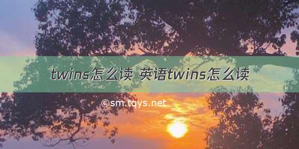 twins怎么读 英语twins怎么读