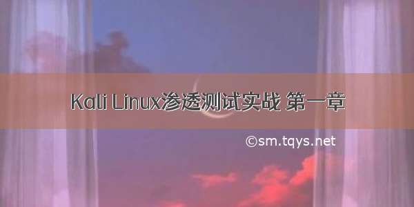 Kali Linux渗透测试实战 第一章