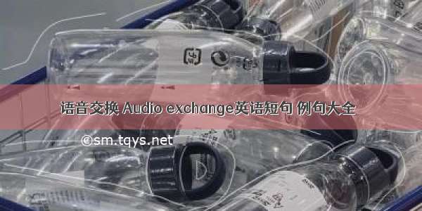 语音交换 Audio exchange英语短句 例句大全