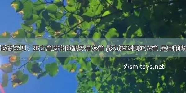 数码宝贝：亚古兽进化的修罗暴龙兽 战力超越阿尔法兽 是真的吗