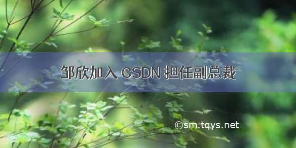 邹欣加入 CSDN 担任副总裁