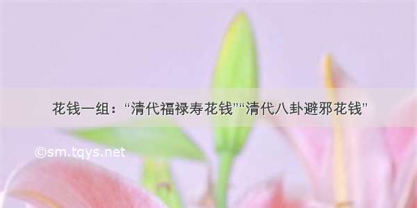 花钱一组：“清代福禄寿花钱”“清代八卦避邪花钱”