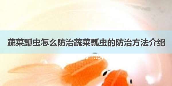 蔬菜瓢虫怎么防治蔬菜瓢虫的防治方法介绍