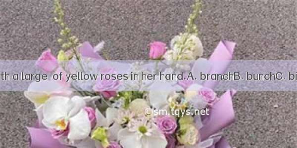 She came with a large  of yellow roses in her hand.A. branchB. bunchC. bit  D. beach