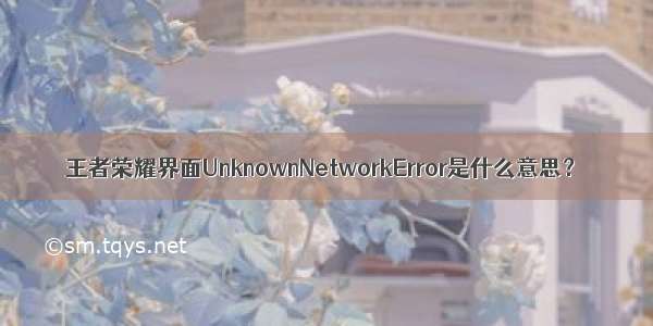 王者荣耀界面UnknownNetworkError是什么意思？