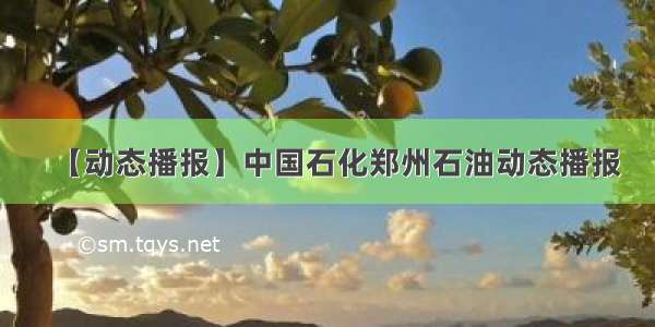 【动态播报】中国石化郑州石油动态播报