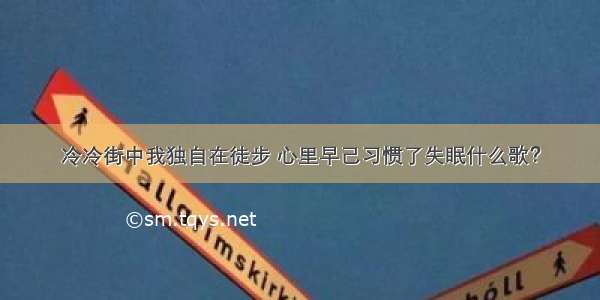 冷冷街中我独自在徒步 心里早己习惯了失眠什么歌？