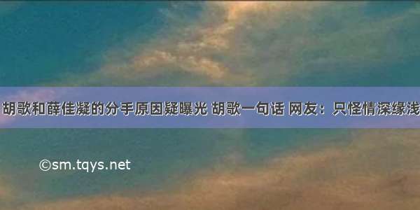 胡歌和薛佳凝的分手原因疑曝光 胡歌一句话 网友：只怪情深缘浅