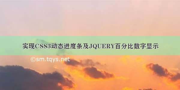 实现CSS3动态进度条及JQUERY百分比数字显示