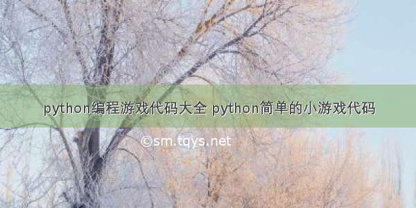 python编程游戏代码大全 python简单的小游戏代码
