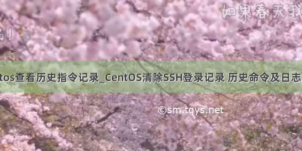 centos查看历史指令记录_CentOS清除SSH登录记录 历史命令及日志缓存