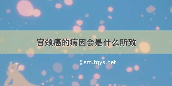 宫颈癌的病因会是什么所致