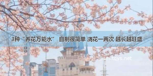 3种“养花万能水” 自制很简单 浇花一两次 越长越旺盛