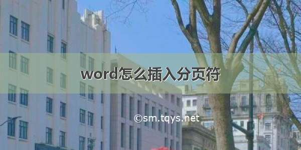 word怎么插入分页符