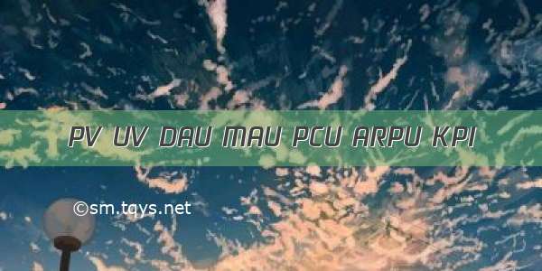 PV UV DAU MAU PCU ARPU KPI