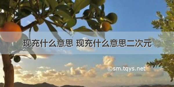 现充什么意思 现充什么意思二次元