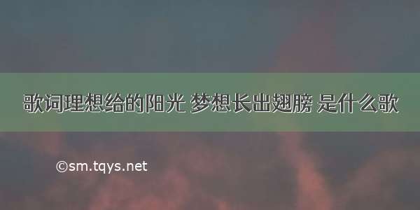 歌词理想给的阳光 梦想长出翅膀 是什么歌