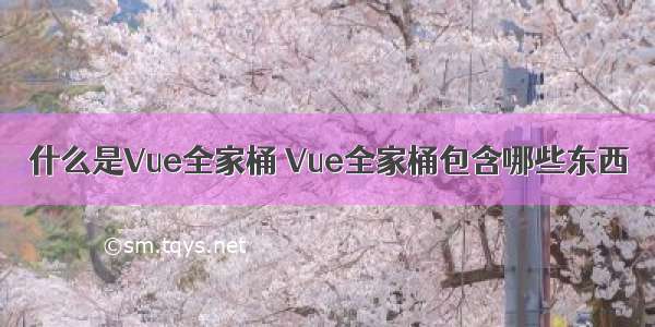 什么是Vue全家桶 Vue全家桶包含哪些东西