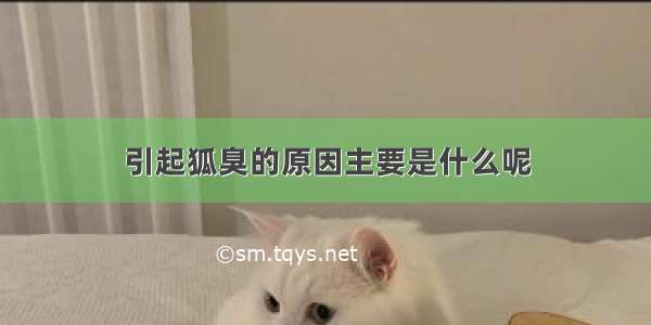 引起狐臭的原因主要是什么呢