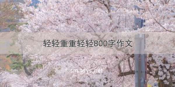 轻轻重重轻轻800字作文