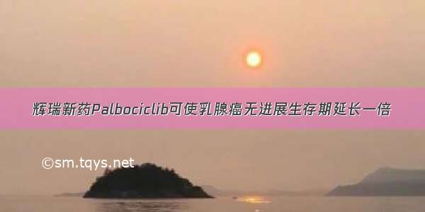 辉瑞新药Palbociclib可使乳腺癌无进展生存期延长一倍