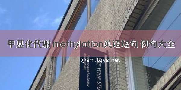 甲基化代谢 methylation英语短句 例句大全