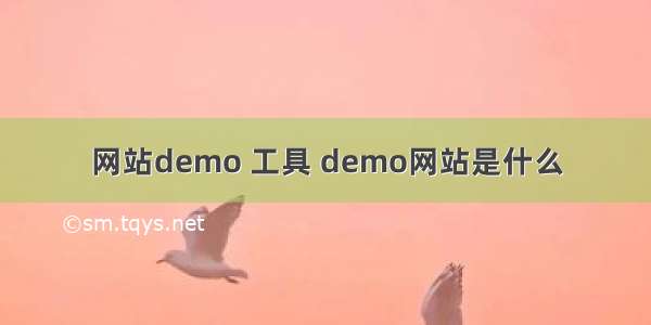 网站demo 工具 demo网站是什么